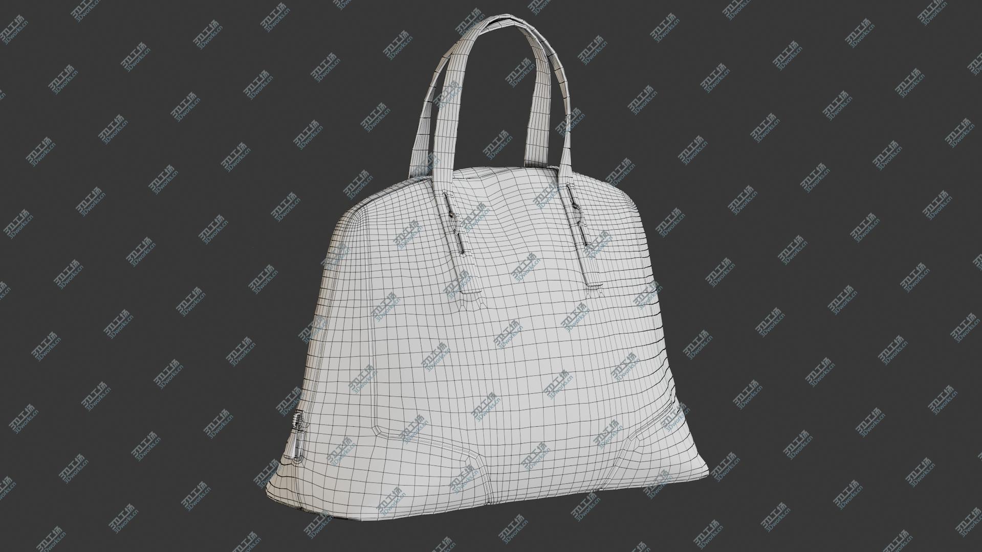 images/goods_img/2021040164/3D Women's Bag 1 model/3.jpg